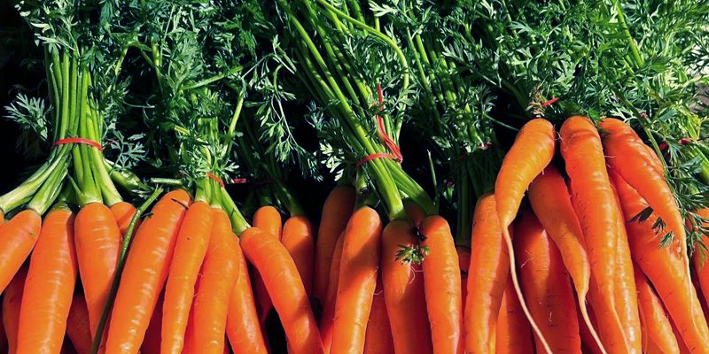 Fresh bunched carrots displayed at Calcott Hall Farm Shop.