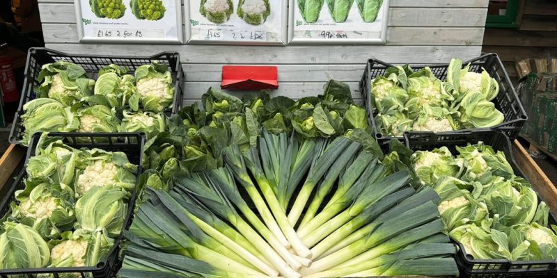 Fresh cauliflowers, Romanesco cauliflower, pointed cabbage and leeks displayed at Calcott Hall Farm Shop.