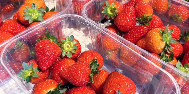 Punnets of fresh strawberries displayed at Calcott Hall Farm Shop.