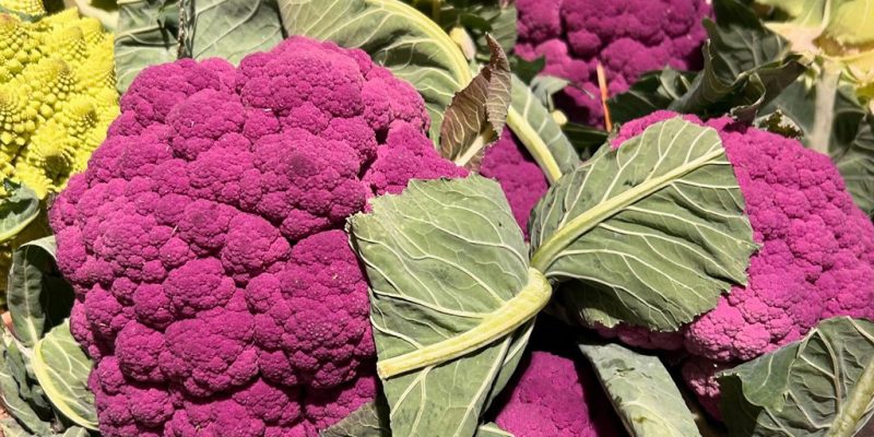 Purple cauliflower on display at Calcott Hall Farm Shop.